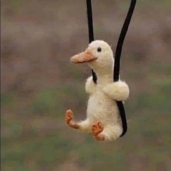 Meet your Posher, Paige - Picture 1 of 1